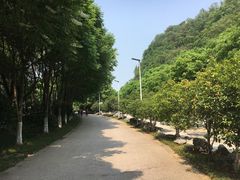 -幕燕滨江·长江观音景区
