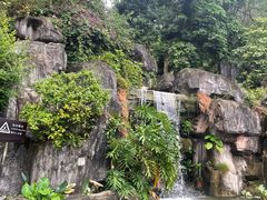 -广州神农草堂中医药博物馆