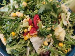 大厨蔬菜沙拉-梁溪河畔·吉府花园(南长街南下塘店)