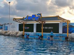 -三亚海昌梦幻海洋不夜城