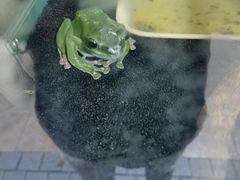 -上海大自然野生昆虫馆