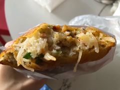 传统素饺子-半月镰胡姐脆皮萝卜饺子