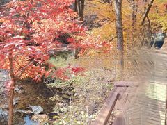 -关门山森林公园
