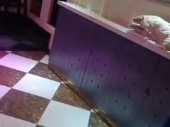 -金青果甄选KTV(劳动公园店)