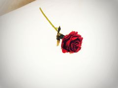 -7天优品·北京国贸大望路地铁站店