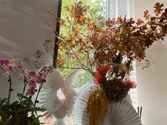 -蝶舍·MAISON PAPILLON