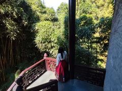 -梅园