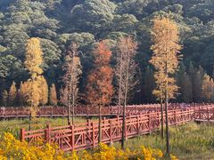 -广州市石门国家森林公园