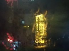 -大亚湾红树林城市湿地公园