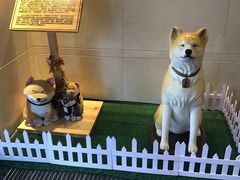 -大江户·温泉洗浴(浑南店)