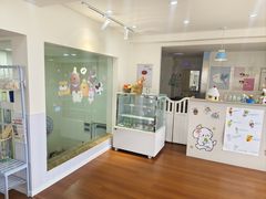 -汪说·狗咖·拼豆·宠物周边DIY(旺城大厦店)