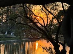 -江心屿景区