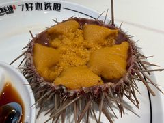 -常鲜楼常来尝鲜海胆馆(星海店)