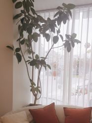 -WENDY·温迪皮肤管理