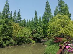 -东平国家森林公园
