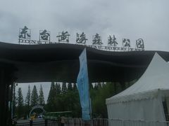 -黄海国家森林公园