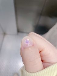 -柚子•猫美睫美甲