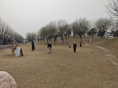 -小意思咖啡店(草桥店)