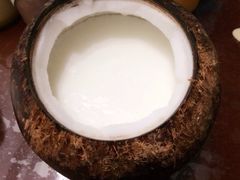 吃货椰子冻-志龙皇冠吃货椰子铺