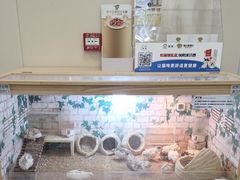 -美联众合爱康动物医院•复杂内科•肿瘤科•牙科•腔镜诊疗中心