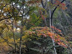 -五女峰国家森林公园