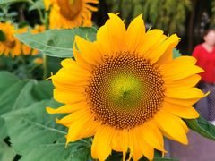 -长春公园(普阳街道)