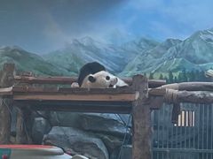 -武汉动物园