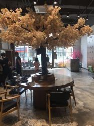 -简影造型·自选烫染接发salon