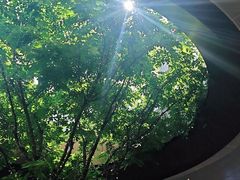 -黑胶星球(华发中城商都店)
