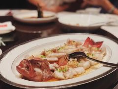 古法蒸东星斑-东富酒家(龙湖西溪天街店)