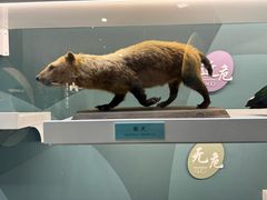 -国家自然博物馆