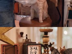 -懒鱼时光馆(沙坪坝店)