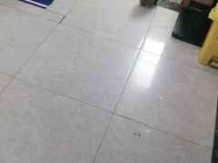 -宠颐生宠物医院·心肾内科·猫专科诊疗中心宠巢店