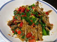 鸭掌筋-壹盏灯(惠农店)