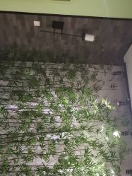 -盘子女人坊古装写真摄影(天津总店)