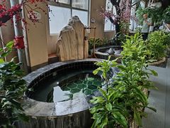 -兴芮温泉度假区