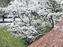-中国茶叶博物馆(双峰馆区)