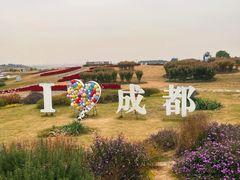 -空港花田景区