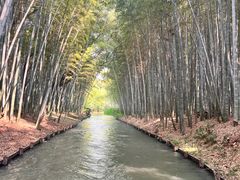 -同里国家湿地公园