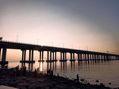 -宝安西湾红树林湿地公园