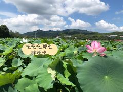 -古田会议纪念馆