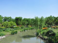 -鹅湖玫瑰文化园
