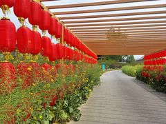 -中国天府农业博览园