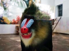 -西安秦岭野生动物园