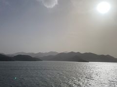 -望湖烤鱼