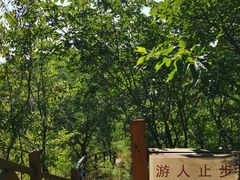 -大岭沟猕猴桃谷风景区