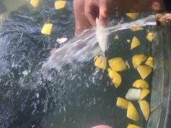-宁海森林温泉