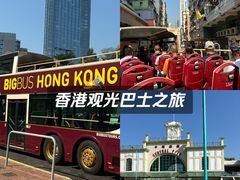 -Big Bus Tours 敞篷观光巴士