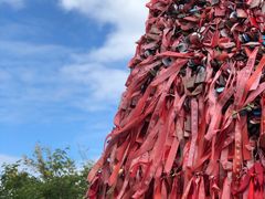 -帽儿山国家森林公园