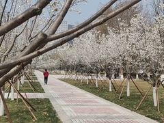 -城市运动公园(未央区)